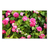 Dubbele imatienfoto afdrukken foto afdruk (Voorkant)