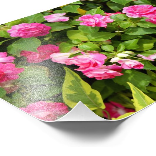 Dubbele imatienfoto afdrukken foto afdruk (Hoek)