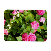 Dubbele Impatiens flexibele magneet (Horizontaal)