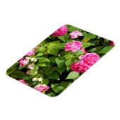 Dubbele Impatiens flexibele magneet (Linkerzijde)