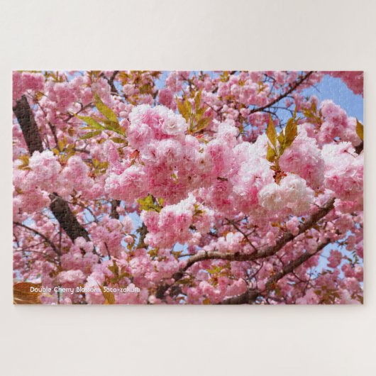Dubbele Kersenbloesem: Sato-zakura Legpuzzel (Horizontaal)