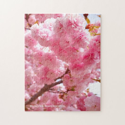 Dubbele Kersenbloesem: Sato-zakura Legpuzzel (Verticaal)