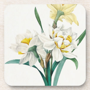 Dubbele narcis, Pierre-Joseph Redouté, 1827 Bier Onderzetter