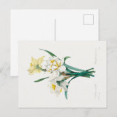 Dubbele narcis, Pierre-Joseph Redouté, 1827 Briefkaart (Voorkant / Achterkant)