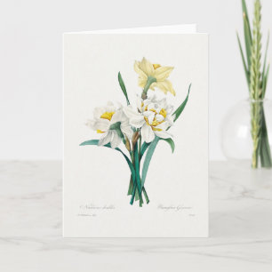 Dubbele narcis, Pierre-Joseph Redouté, 1827 Kaart