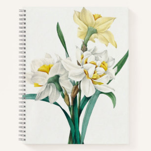 Dubbele narcis,  Pierre-Joseph Redouté, 1827 Notitieboek