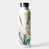 Dubbele narcis, Pierre-Joseph Redouté, 1827 Waterfles (Links)