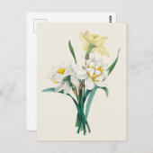 dubbele Narcissus Botanische Illustratie Briefkaart (Voorkant / Achterkant)