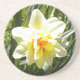 Dubbele Narcissus/Daffodil Zandsteen Onderzetter