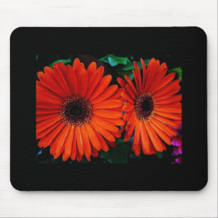 dubbele oranje kleur margriet bloemen muismat