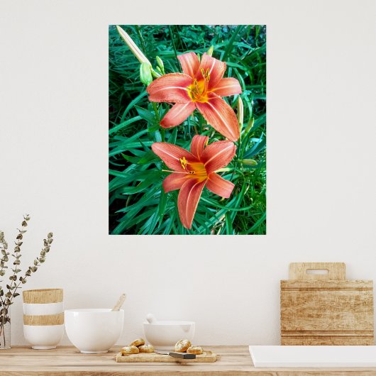 Dubbele Oranje ventilatorfotoprinter, Poster (Keuken)