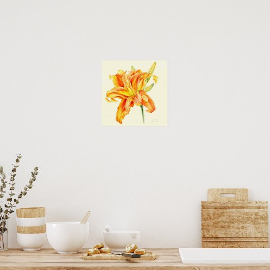 Dubbele oranje waterverf bij Hemerocallis bij dagl Poster (Keuken)