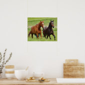 Dubbele paarden poster (Keuken)