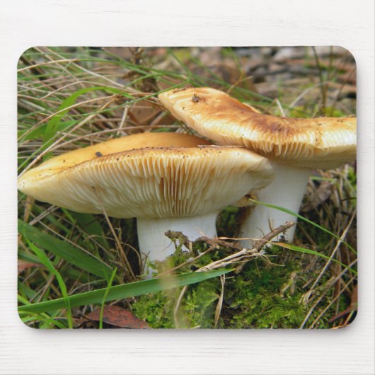 Dubbele paddenstoel muismat (Voorkant)