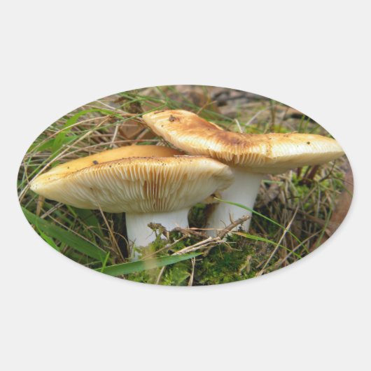 dubbele paddestoel Sticker (Voorkant)