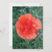 Dubbele papaverventilator kaart (Voorkant)