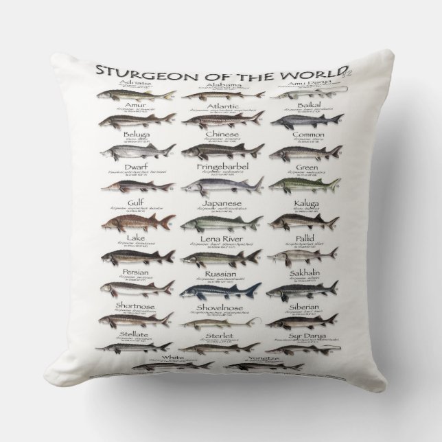 DUBBELE PILLOW - STURGEON VAN DE WERELD KUSSEN (Voorkant)