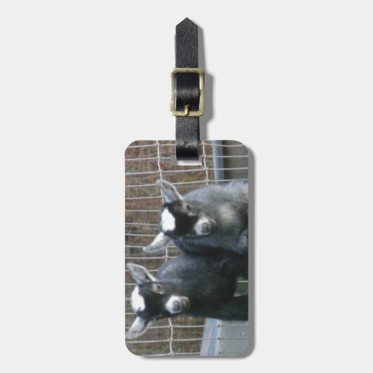 Dubbele problemen bagagelabel (Voorkant verticaal)