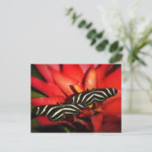 Dubbele problemen briefkaart (Staand voorkant)