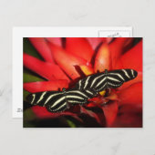 Dubbele problemen briefkaart (Voorkant / Achterkant)