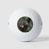 Dubbele Problemen in het Bladerdak: Tweelingbuidel Golfballen (Voorkant)