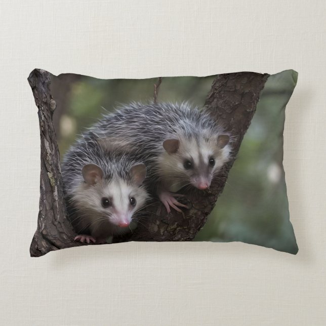 Dubbele problemen in het bladerdak: Twin Possums Accent Kussen (Voorkant)