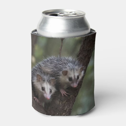 Dubbele problemen in het bladerdak: Twin Possums Blikjeskoeler (Blikje Voorkant)
