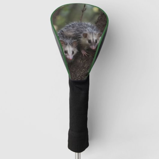 Dubbele problemen in het bladerdak: Twin Possums Golfheadcover (Voorkant)