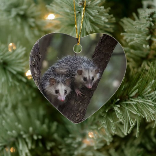 Dubbele problemen in het bladerdak: Twin Possums Keramisch Ornament (Boom)