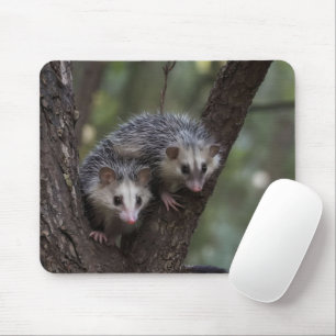 Dubbele problemen in het bladerdak: Twin Possums Muismat