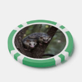 Dubbele problemen in het bladerdak: Twin Possums Poker Chips (Enkel)