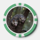 Dubbele problemen in het bladerdak: Twin Possums Poker Chips (Voorkant)
