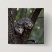 Dubbele problemen in het bladerdak: Twin Possums Vierkante Button 5,1 Cm (Voorkant)