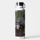 Dubbele problemen in het bladerdak: Twin Possums Waterfles (Achterkant)