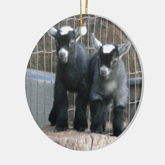 Dubbele problemen keramisch ornament (Links)