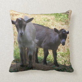 Dubbele problemen! kussen