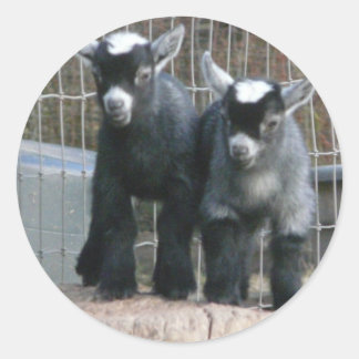 Dubbele problemen ronde sticker