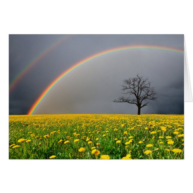 Dubbele regenboog (Voorkant Horizontaal)