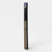 Dubbele regenboog boven een rotsformatie bij Smith Case-Mate iPhone Case (Achterkant/links)