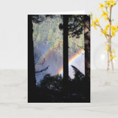 Dubbele Regenboog door Bomen Kaart (Gele Bloem)