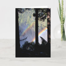 Dubbele Regenboog door Bomen