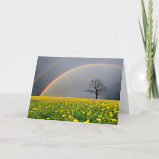 Dubbele Regenboog Kaart