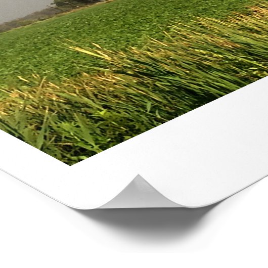 Dubbele regenboogfoto poster (Hoek)