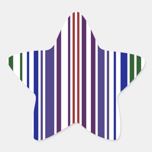 Dubbele regenboogstreepjescode ster sticker (Voorkant)