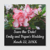 Dubbele rode en witte Azaleas Spring Floral (Voorkant)