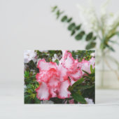 Dubbele rode en witte Azaleas Spring Floral Briefkaart (Staand voorkant)