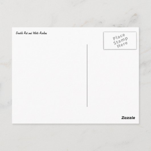 Dubbele rode en witte Azaleas Spring Floral Briefkaart (Achterkant)