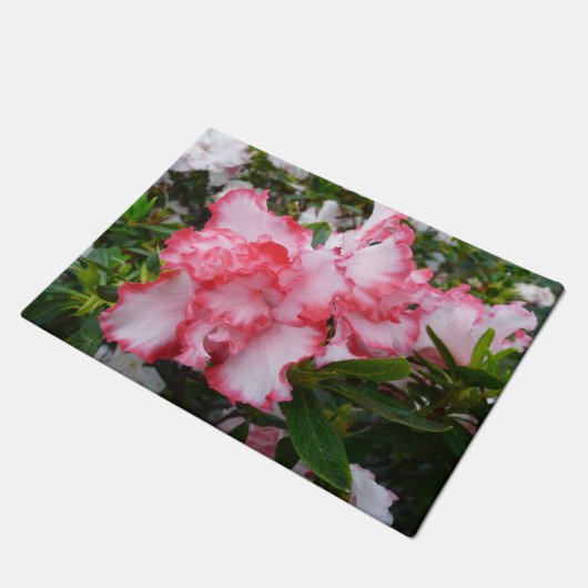 Dubbele rode en witte Azaleas Spring Floral Deurmat (Schuin)