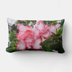 Dubbele rode en witte Azaleas Spring Floral Kussen