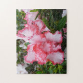 Dubbele rode en witte Azaleas Spring Floral Legpuzzel (Verticaal)